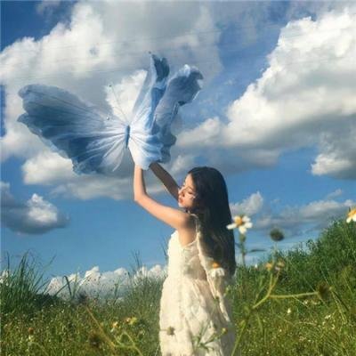 霸王花 高清在线观看封面