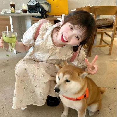 八仙与跳蚤 高清在线观看封面